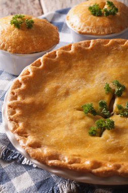 Taze pişmiş tavuk pot pasta pişirme, bulaşık yakın. Verti