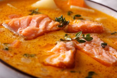 Kekik makro bir kabın içinde Somon çorbası. Yatay