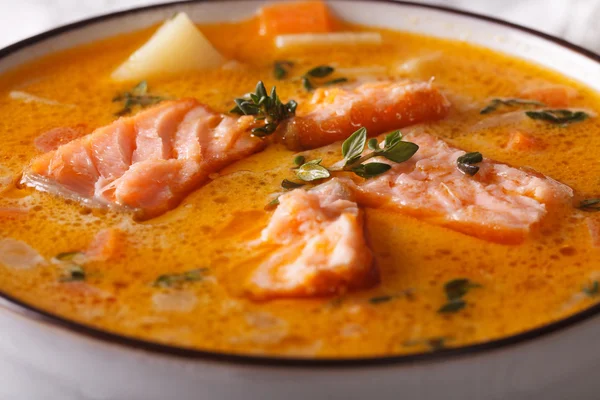Soupe de saumon aux légumes dans un bol blanc macro. horizontal — Photo