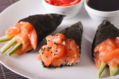 Plaka yakın çekim temaki somon. Yatay
