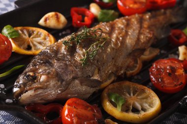 Gökkuşağı alabalığı bir ızgara sebzeli makro pan. Yatay 