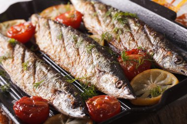 saury sebzeli ızgara tava makro üzerinde ızgara. Yatay
