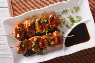 Yakitori tavuk ile yeşil soğan yakın çekim. Yatay Üstten Görünüm