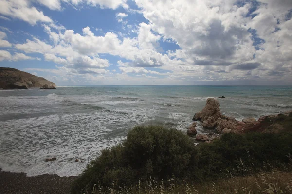 Güney Kıbrıs'ın tipik deniz canlıları. Kayalık sahilleri, ufuk — Stok fotoğraf