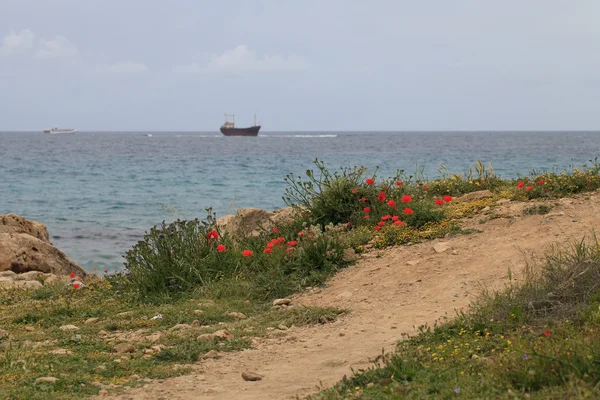 Il sentiero verso il mare e la nave arenata. Cipro. Pathos . — Foto Stock