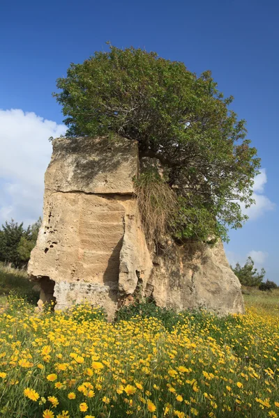 Groby królów Paphos, Cypr. Piękną wiosnę krajobraz — Zdjęcie stockowe