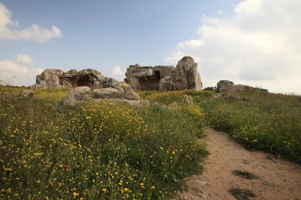 Grobowce Królewskie na polu kwitnienia w Pafos. Cypr — Zdjęcie stockowe