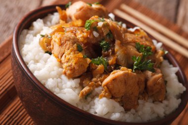 Japon mutfağı: oyakodon pirinç bir kase ile yakın çekim. ufuk