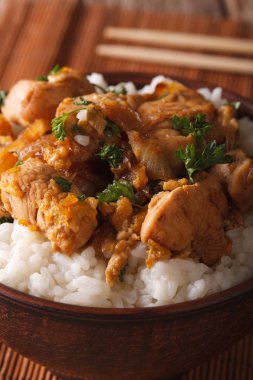 Japon yemekleri: bir pirinç bir kase makroda ile oyakodon. Dikey