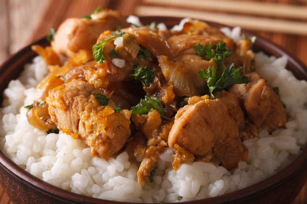 Japanese food: oyakodon with a rice in a bowl macro. horizontal — Stock Photo, Image