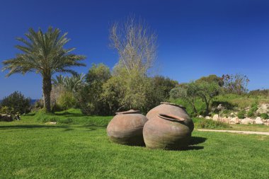 Yeşil çim bahçe içinde güzel büyük Yunan tencere