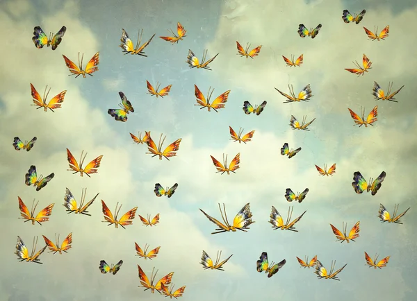 Butterflies in the sky — Stock Photo, Image