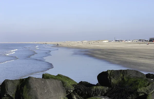 Människor på stranden i Holland — Stockfoto