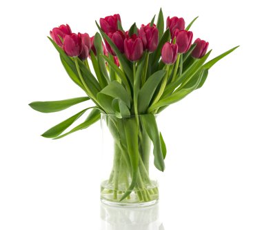 vazo ile mor kırmızı lale buketi 