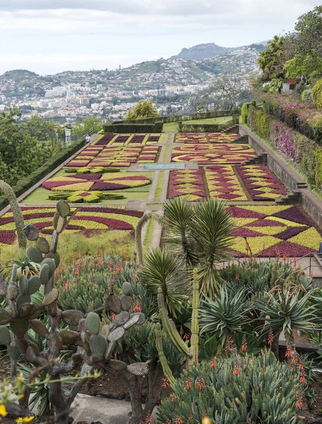 Jardín botánico en Funchal — Foto de Stock