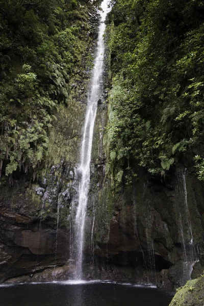 Waterfall on madeira island 25 fontes — Stock Photo, Image