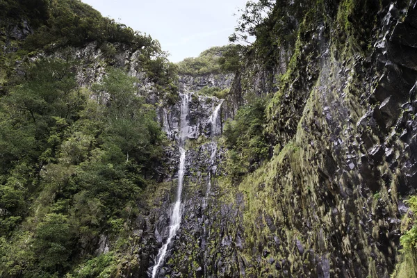 Fontes risco madeira — Foto Stock