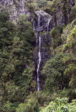 Fontes risco madeira