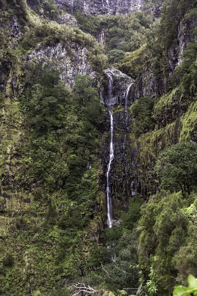 Fontes risco madeira — Stockfoto