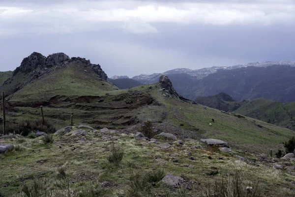 Madeira-Hochgebirge — Stockfoto