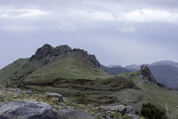 Madeira alte montagne — Foto Stock