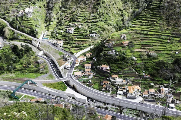 Madeira teraaced yeşil dağ — Stok fotoğraf