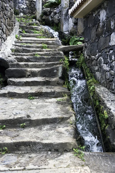 Λειβάδα κοντά σε παλιές σκάλες από την πέτρα — Φωτογραφία Αρχείου