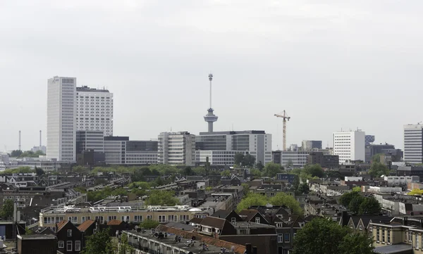 Skyline rotterdam város Hollandiában — Stock Fotó
