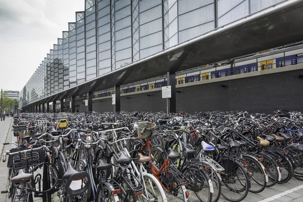 Armazenamento de bicicletas na estação de rotterdam — Fotografia de Stock