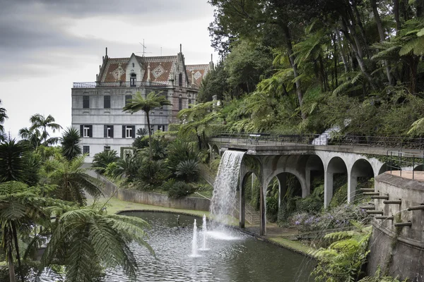 Tropican Monte Palace Garden. Funchal — Foto de Stock
