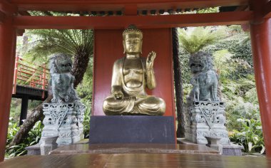 Japon bahçe altın buddha