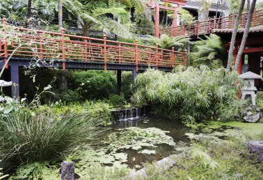 Maadeira adada Japon bahçesi