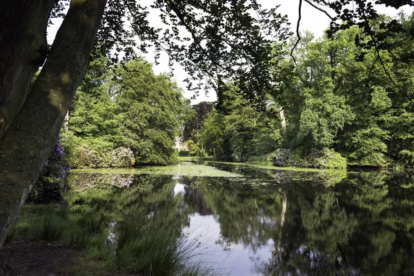 Grandes jardines en el bosque cerca de Baarn en Holanda —  Fotos de Stock