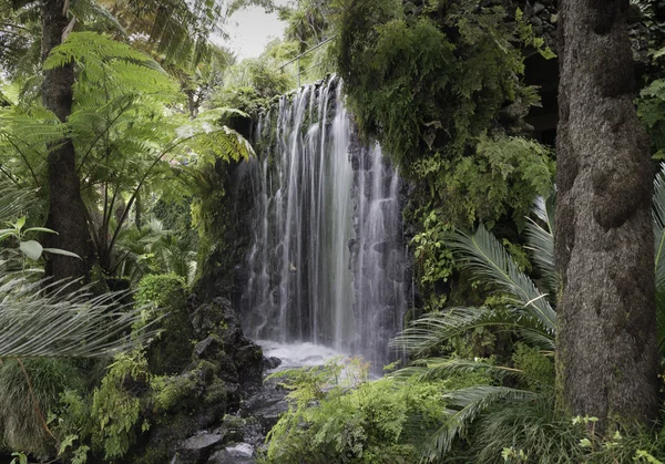 Vodopád na ostrově madeira — Stock fotografie