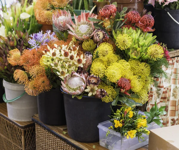 Flores tropicais no mercado funchal — Fotografia de Stock