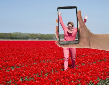tourist making photo of womanin tulip field clipart