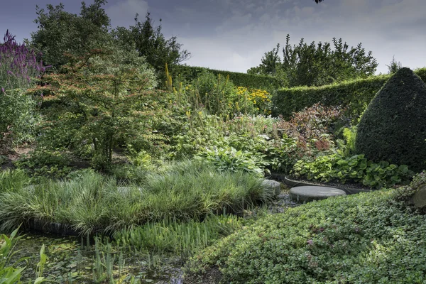 Engelsk hage med ville blomster – stockfoto