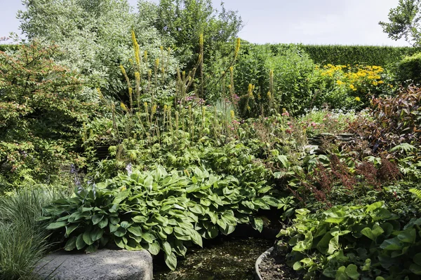 Jardín inglés con flores silvestres —  Fotos de Stock