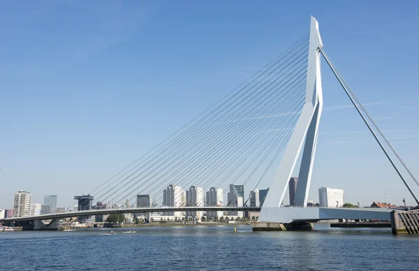 A rotterdami kikötő város a Holland Erasmusbridge — Stock Fotó