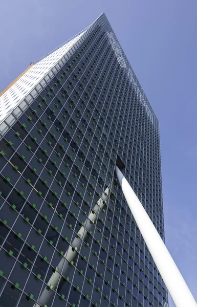 High skyscraper in Rotterdam — Stock Photo, Image