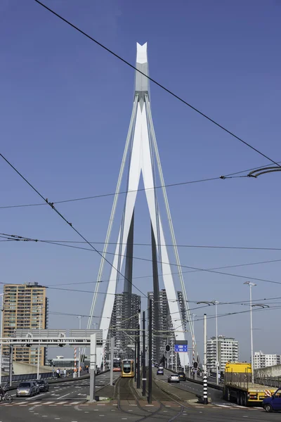 Erasmusbridge en el puerto de Rotterdam ciudad en Holanda — Foto de Stock