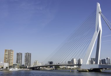 Erasmusbridge Hollanda Rotterdam liman şehrinde