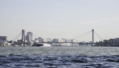 Willemsbrug Hollanda Rotterdam liman şehrinde