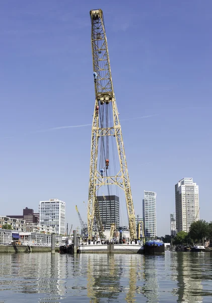 Grande grue à Rotterdam — Photo