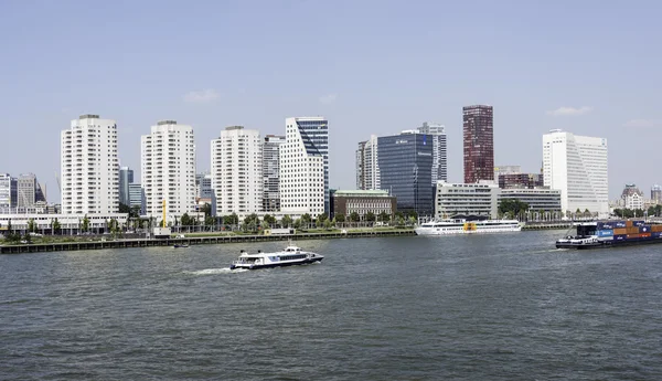 Skyline rotterdam with the river maas — Stock Photo, Image