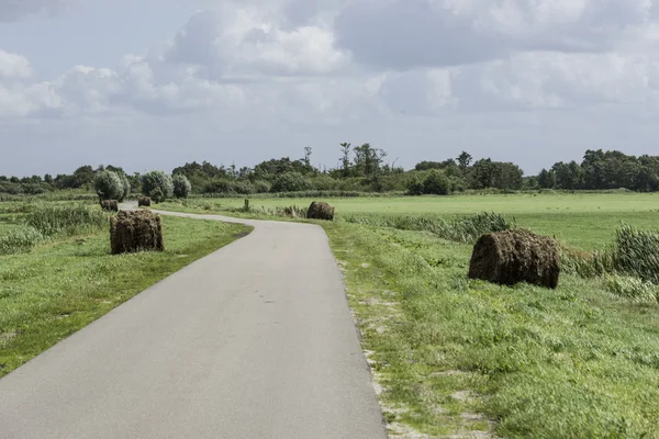 Balle di fieno in campo verde in Olanda — Foto Stock