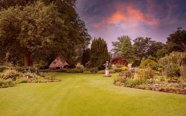 Grande parco con piante campo verde — Foto Stock