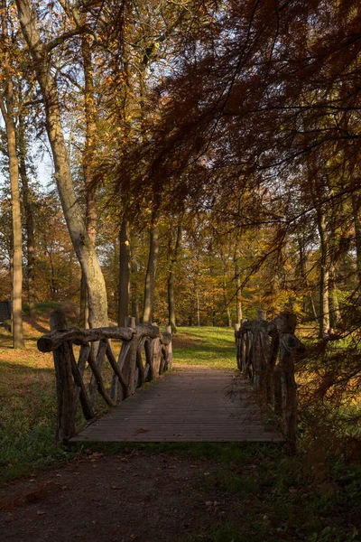 Autum δάσος με κόκκινα καφέ και χρυσά χρώματα — Φωτογραφία Αρχείου