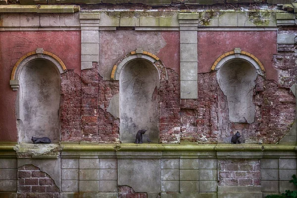 Old wall containing statues of cats — Stock Photo, Image