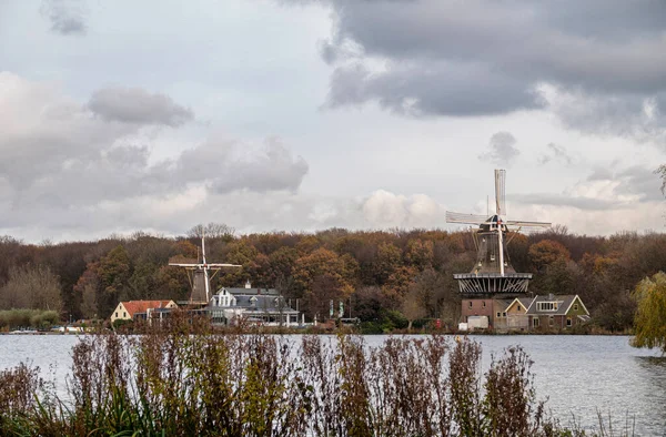 Rotterdam z młynami holenderskimi jako tło — Zdjęcie stockowe